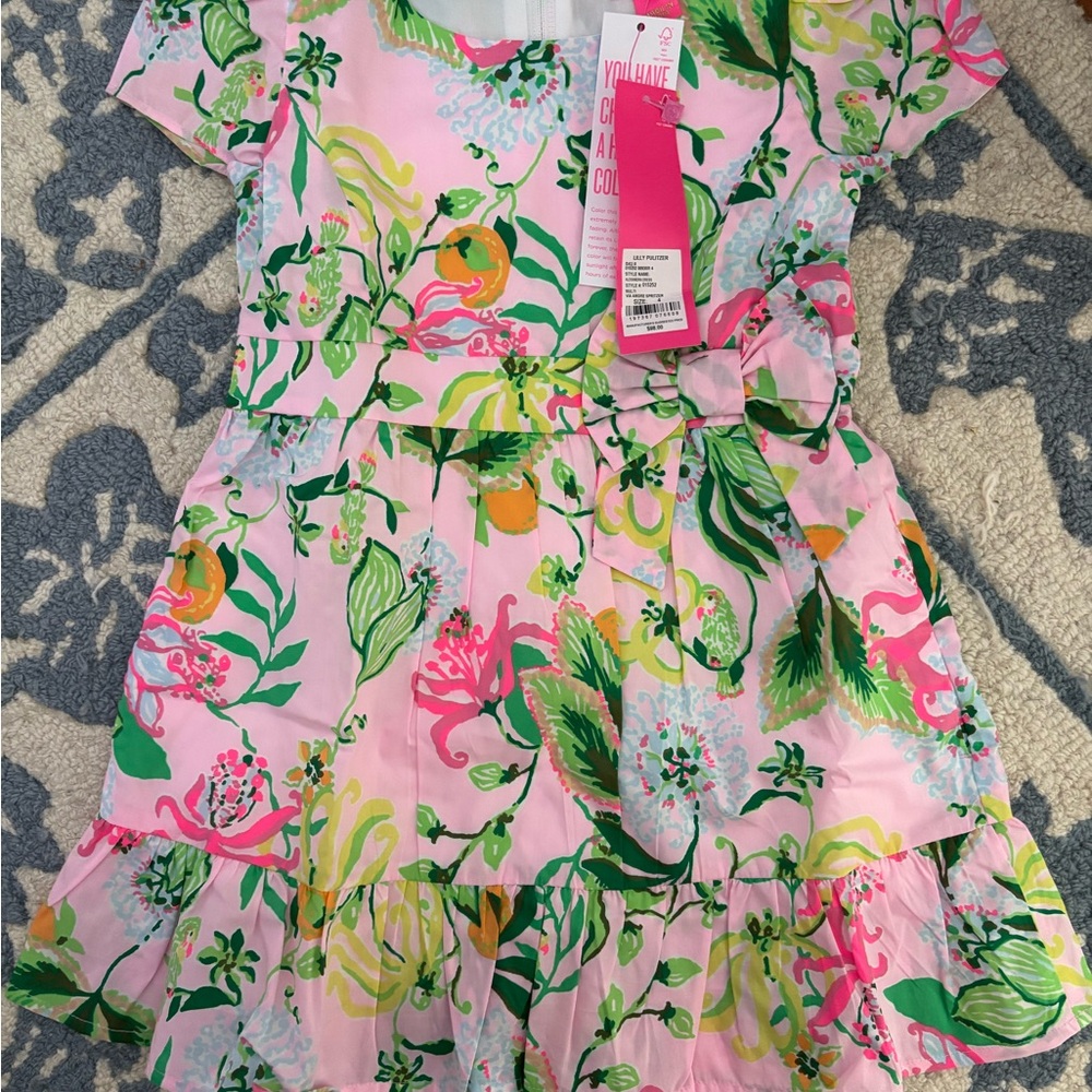 Lilly Pulitzer Pink and Green Floral Kids Dress